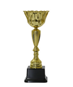 The Victory Crown Cup Trophy