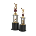 Cricket pillar Trophy
