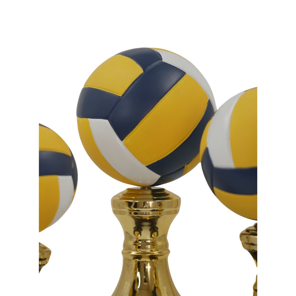 VOLLEYBALL TROPHY