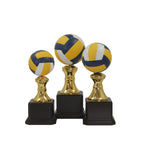VOLLEYBALL TROPHY
