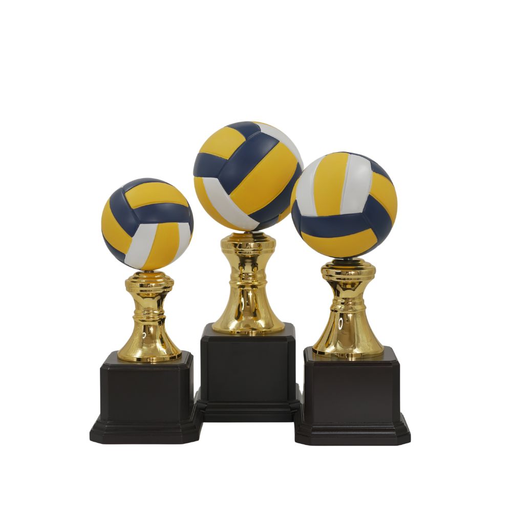 VOLLEYBALL TROPHY