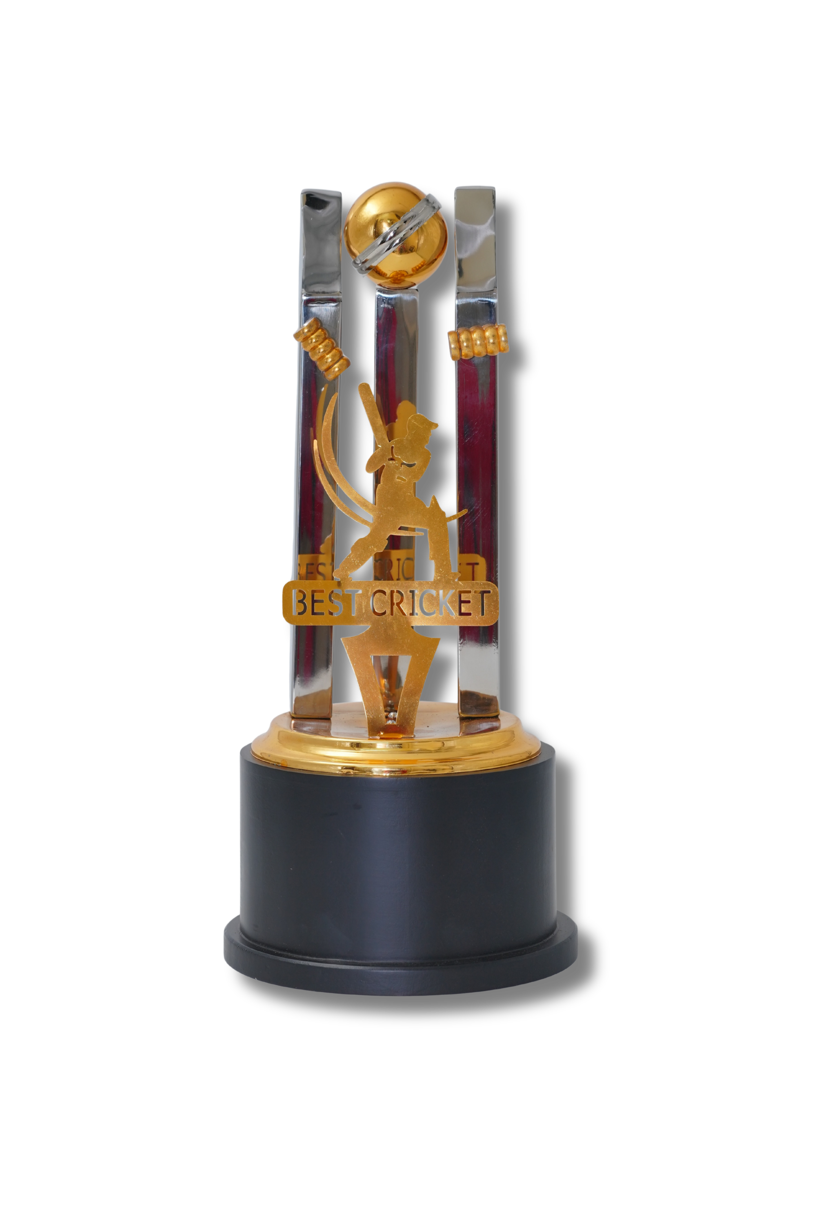 Grand Slam Cricket Cup