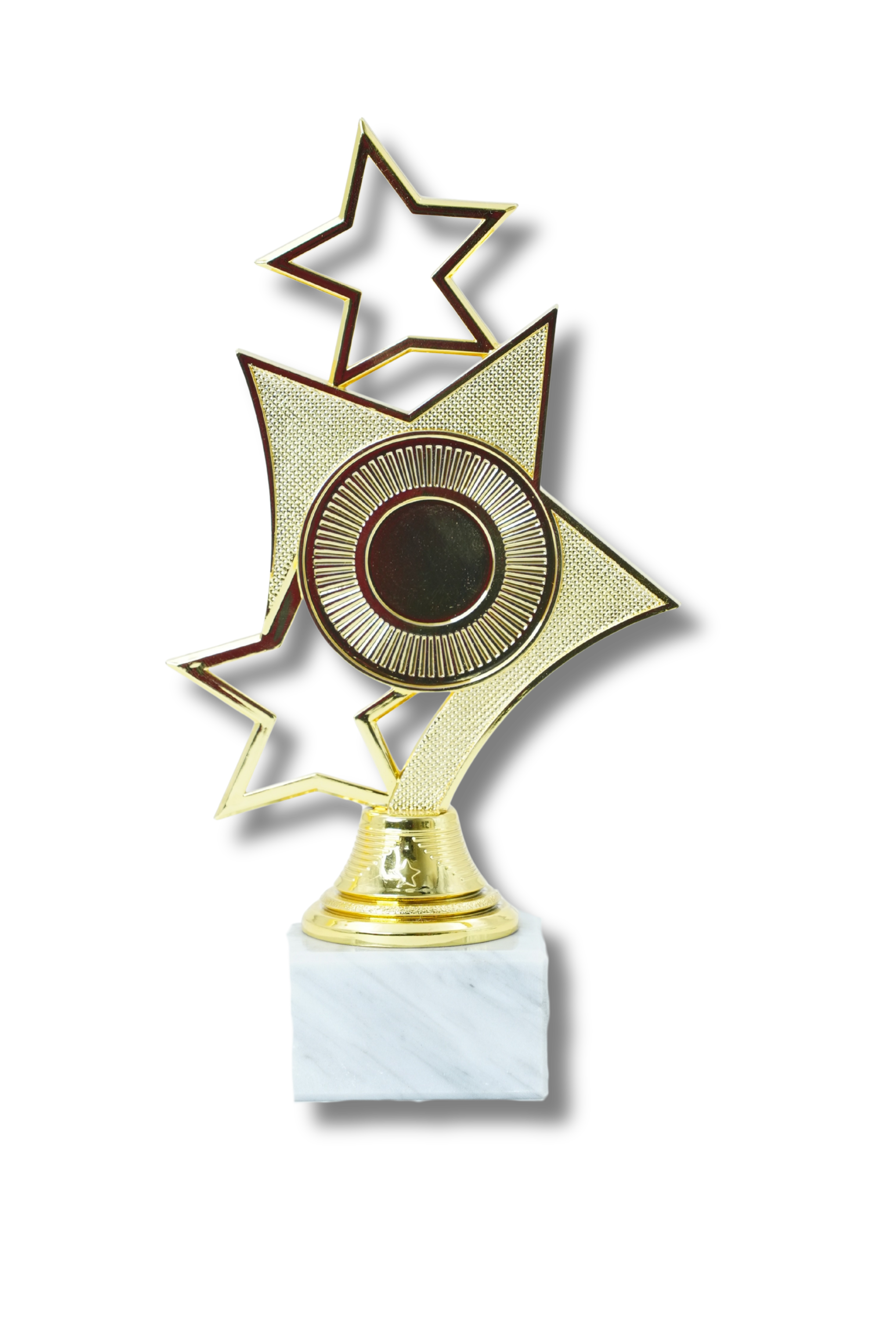 The Shining Star Award
