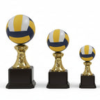 The Volleyball Trophy