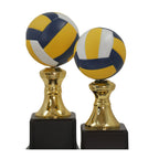 VOLLEYBALL TROPHY
