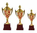 Red Star Victory Trophy