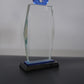 5Y SERVICE CRYSTAL AWARD