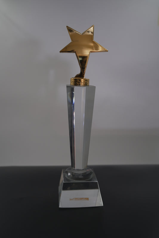STAR CRYSTAL AWARD