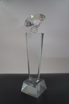 DIAMOND AWARD