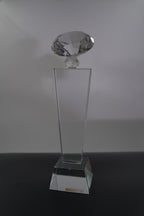DIAMOND AWARD