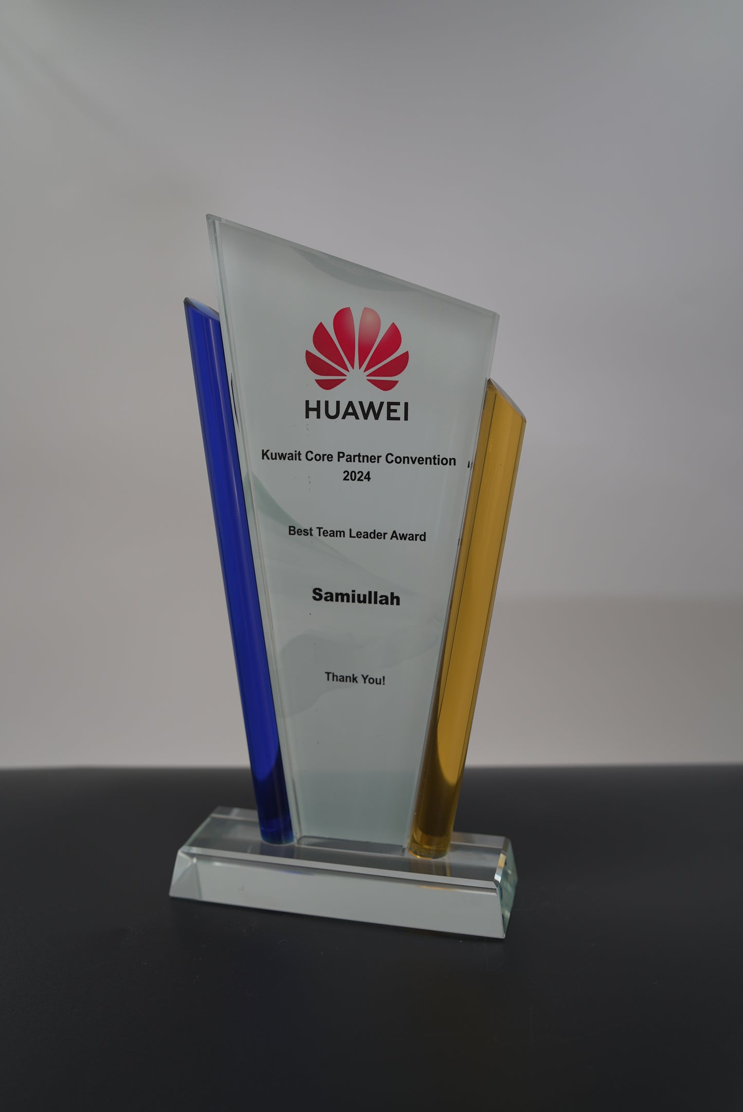 B&Y CRYSTAL AWARD