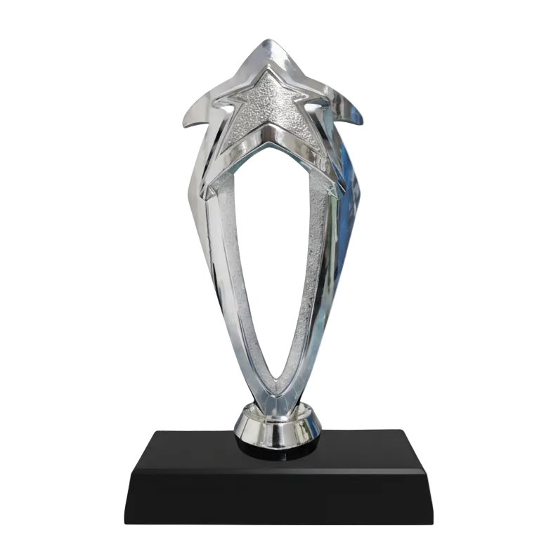 Silver Star Excellence Trophy
