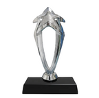 Silver Star Excellence Trophy