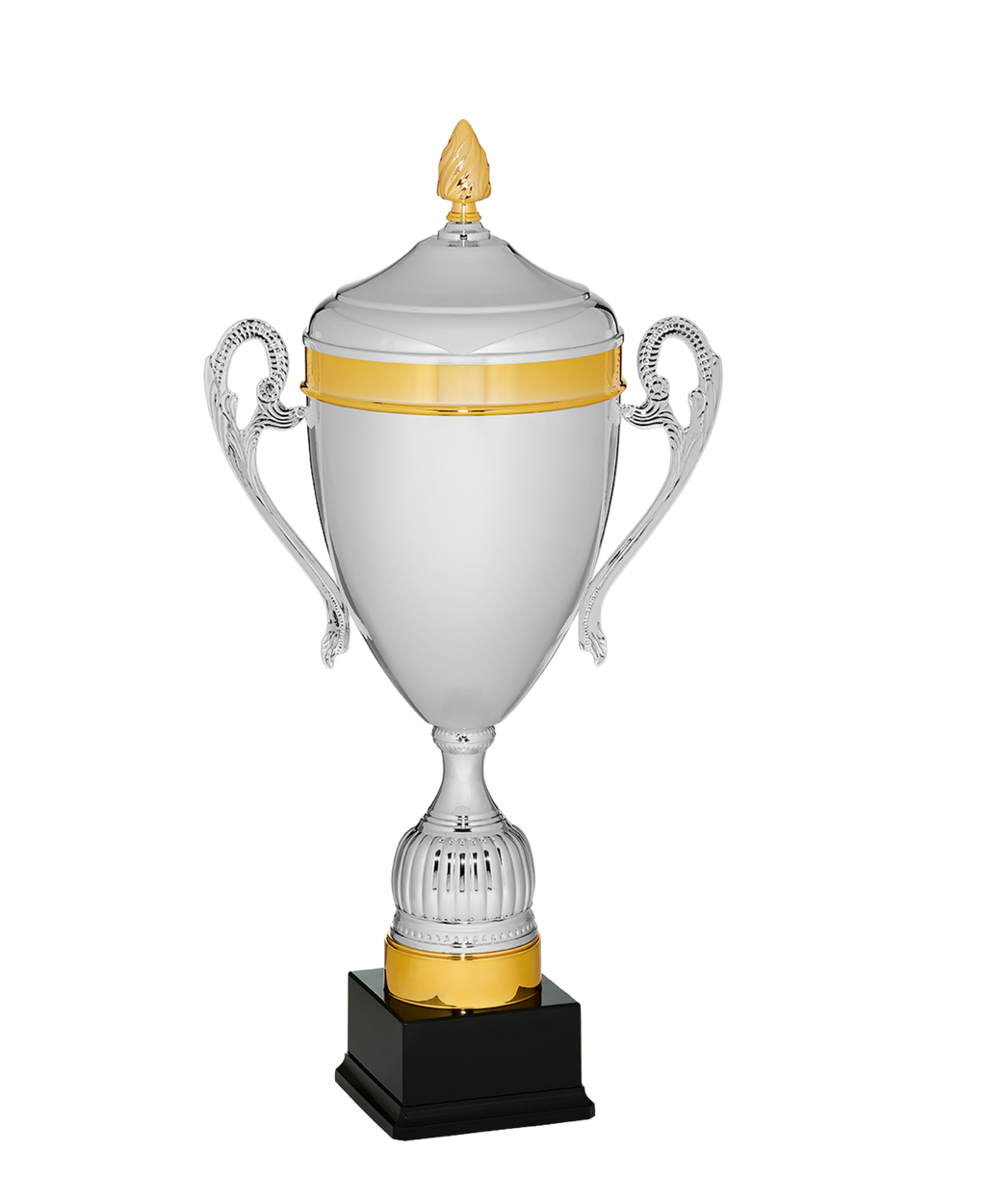 The Meridian Cup Trophy