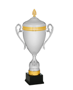The Meridian Cup Trophy