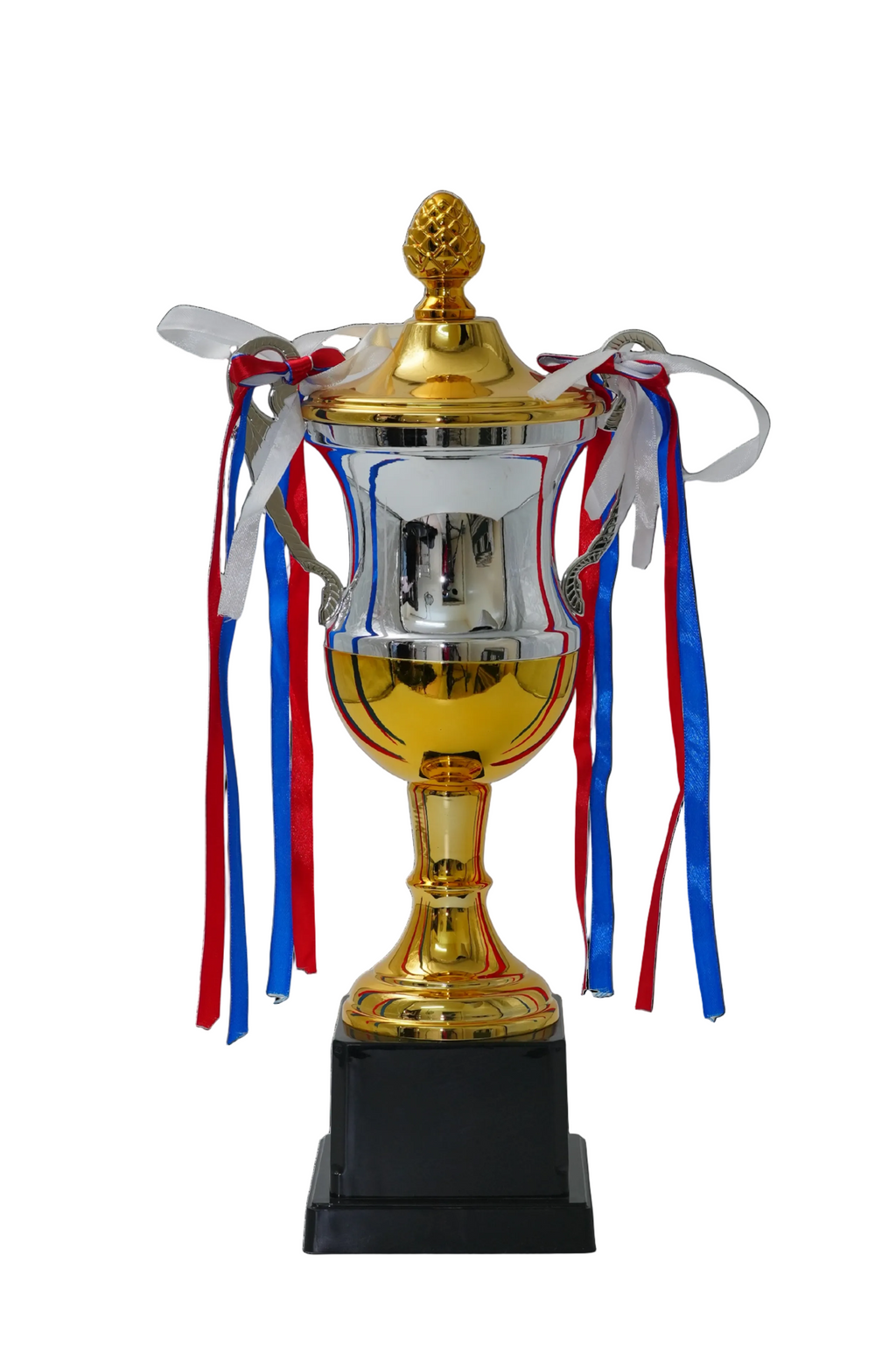 Meridian Champion Cup Trophy