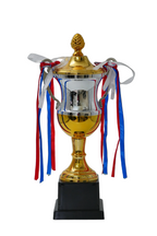 Meridian Champion Cup Trophy