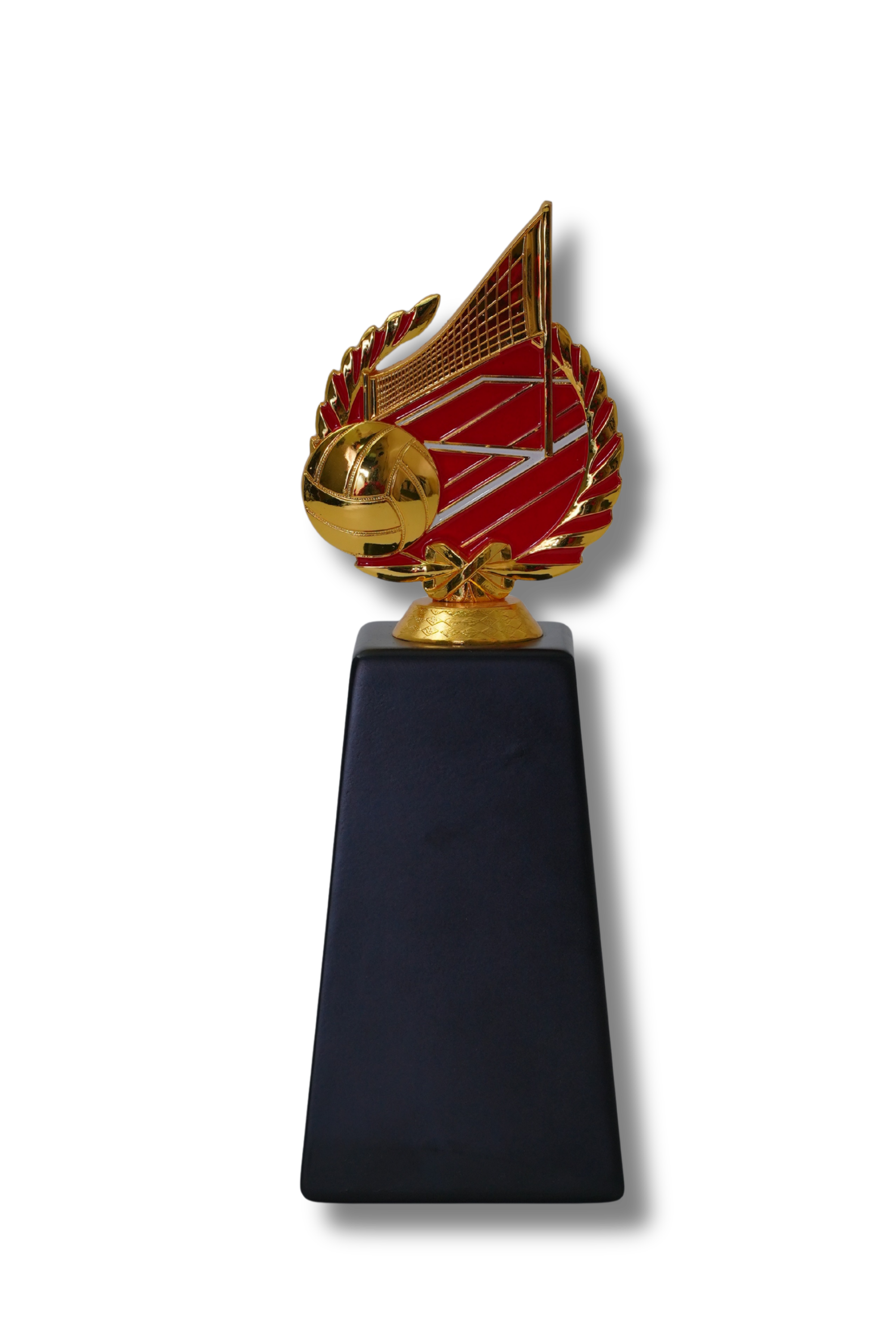 The Golden Spike Volleyball Award