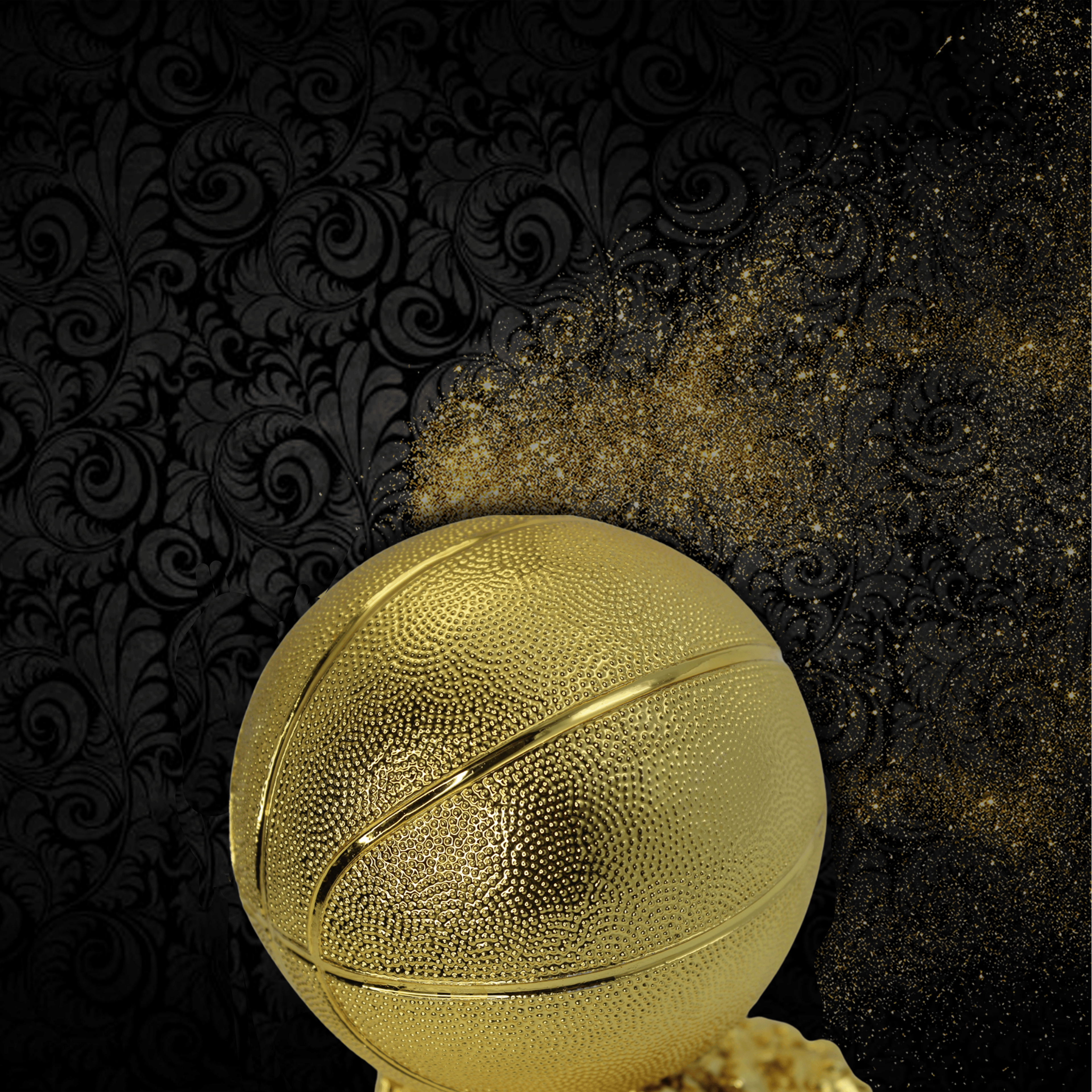 BASKETBALL BALLON D'OR