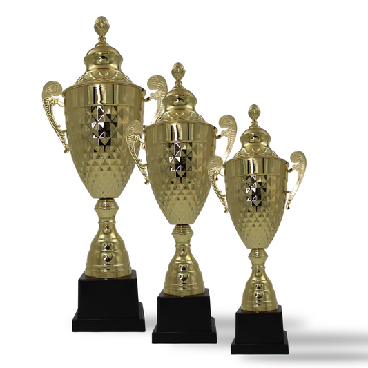 Set of 3 Cup Trophies 19-8