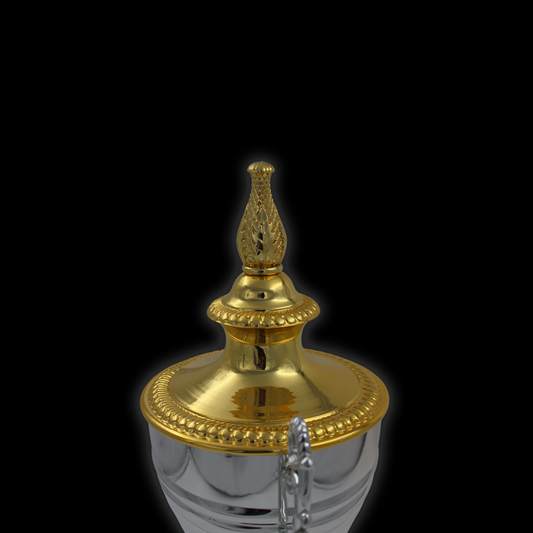 Silver Metal Trophy