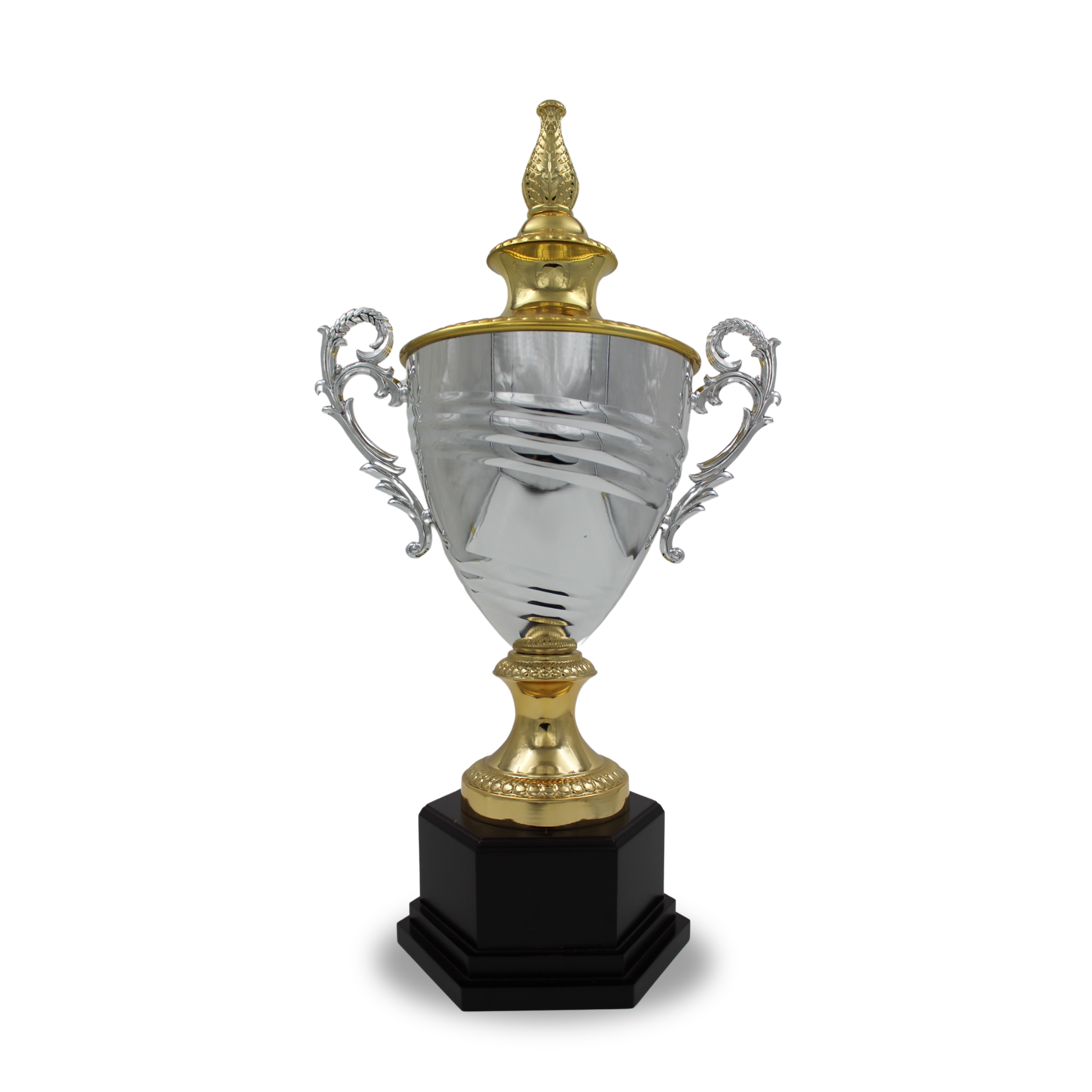 Silver Metal Trophy