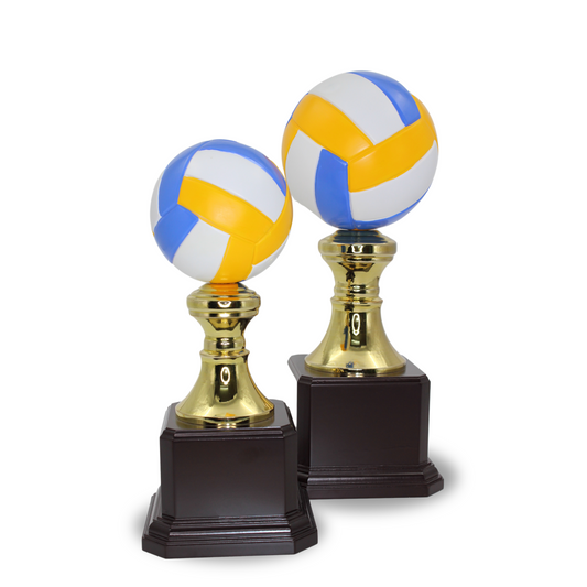 TEXTURED VOLLEYBALL TROPHY